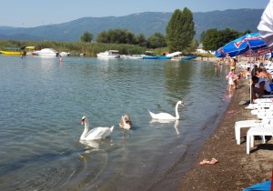 20130808_092439